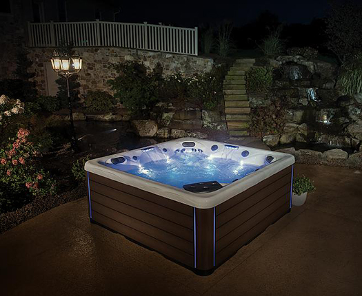 Спа бассейн Master Spas Twilight Series TS 87.3 (рис.2)